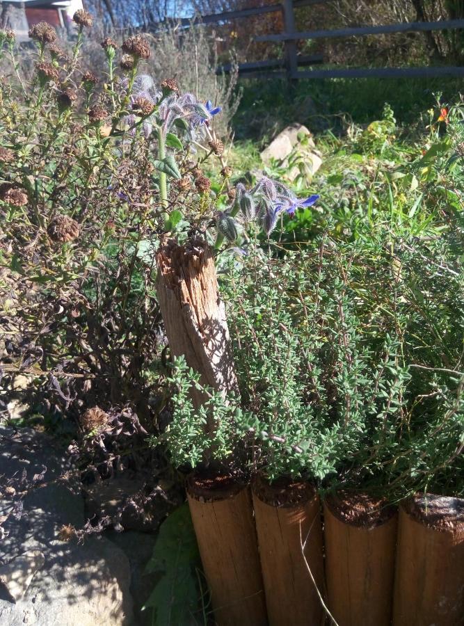 Agroturystyka U Maciejowej Βίλα Lanckorona Εξωτερικό φωτογραφία