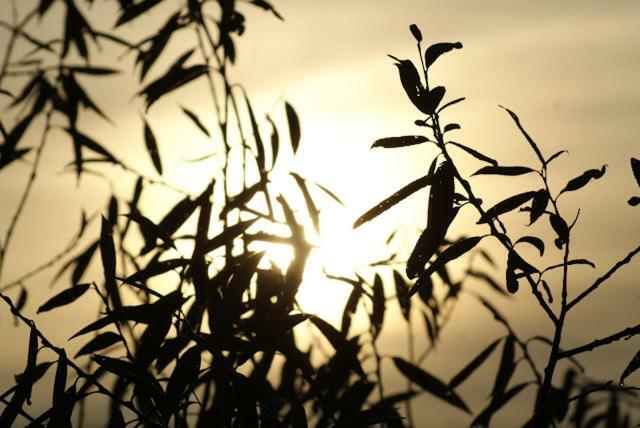 Agroturystyka U Maciejowej Βίλα Lanckorona Εξωτερικό φωτογραφία